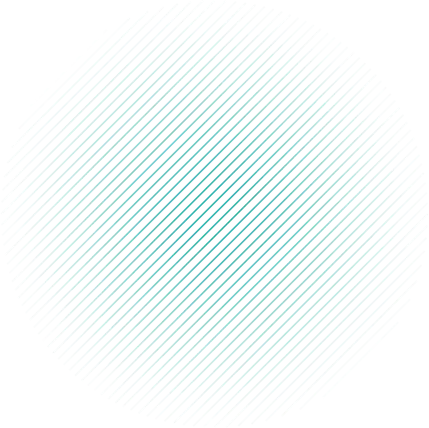 球探比分baodamu